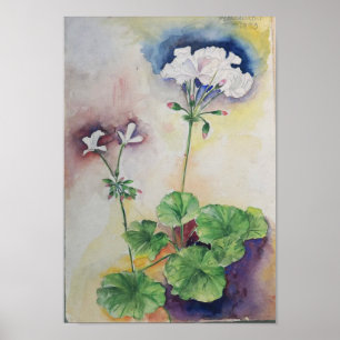 Weiße Blumen Aquarell – Botanischer Wandkunst Druc Poster