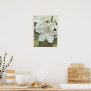 Weiße Blumen Foto Poster