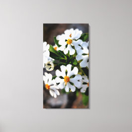 weiße Blumen Frühjahrsflora Sammlung Leinwanddruck