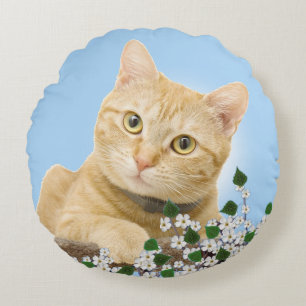 Weiße Blumen & Ginger Tabby Katze auf Hellblau Rundes Kissen