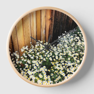 Weiße Blumen und verwitterter Zaun (Holzrand) Uhr