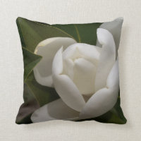 weiße Blumenknospe der südlichen Magnolie