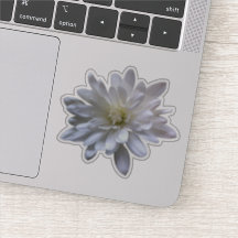 Weiße, blumenweiße, matte weiße Blume