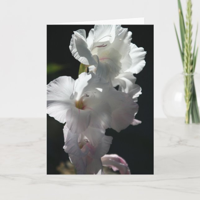 Weiße Blüten auf schwarzer Gruß-Karte Karte (Vorderseite)