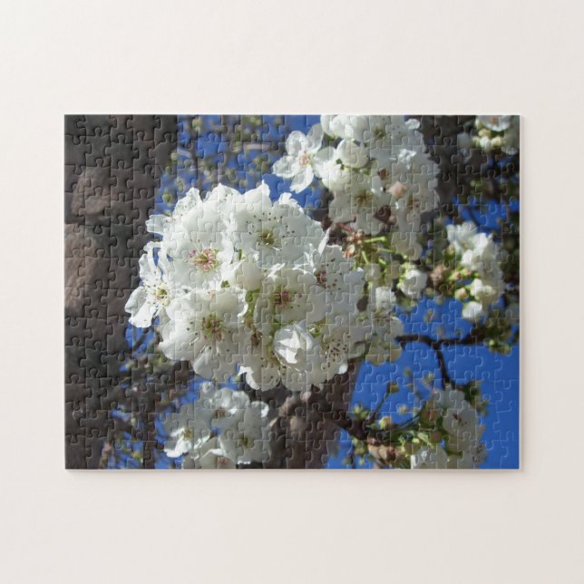 Weiße Blüten I ZierBirnenbaum (Horizontal)
