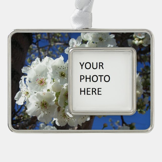 Weiße Blüten I ZierBirnenbaum Rahmen-Ornament Silber (Vorderseite)