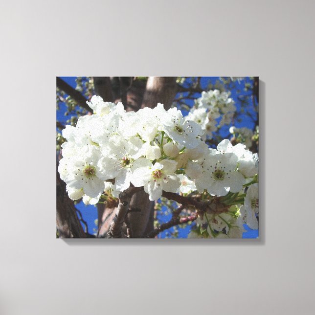 Weiße Blüten II Frühlingsblüte Baum Leinwanddruck (Vorderseite)