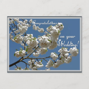 Weiße Blüten Postkarte