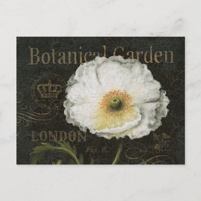 Weiße Blüten und Blätter Postkarte (Vorderseite)