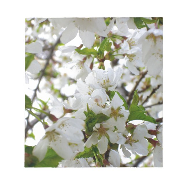 Weiße Blüten, weiße Blume mit eleganten weißen Blü Notizblock (Vorderseite)