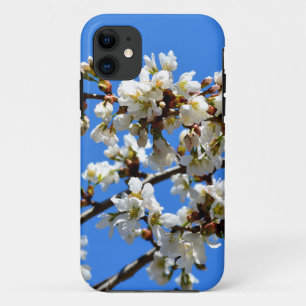 Weiße Blütenblumenblüte, weißer Frühlingsbaum Case-Mate iPhone Hülle