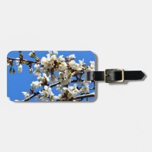 Weiße Blütenblumenblüte, weißer Frühlingsbaum Gepäckanhänger