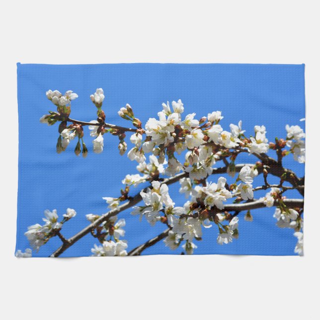Weiße Blütenblumenblüte, weißer Frühlingsbaum Küchentuch (Horizontal)