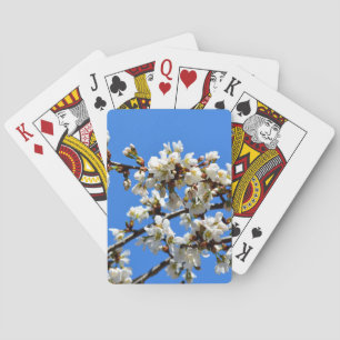 Weiße Blütenblumenblüte, weißer Frühlingsbaum Spielkarten