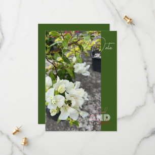 weiße Bougainvillea oder Paperblumenweiß als Schne Save The Date