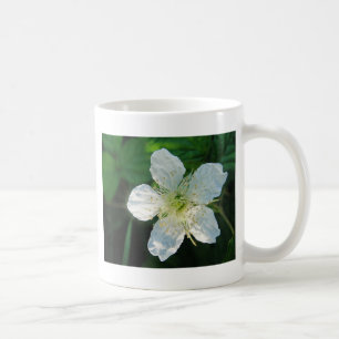 Weisse Brombeerblüte Kaffeetasse