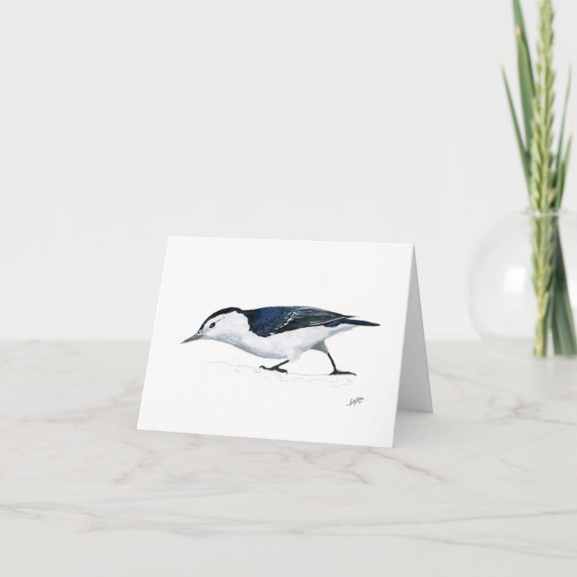 Weiße Brüste (Vorderseite)