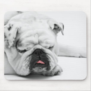 Weiße Bulldoggen-Liebe Mousepad