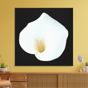 Weiße Calla-Lilien-Blumen-Hinterhof-Garten-Foto Leinwanddruck