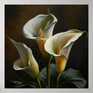 Weiße Calla-Lilien-Lilien-Blumen-Kunst-Druckplakat Poster