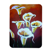 Weiße Calla Lilies künstlerische Schnitt Blume auf
