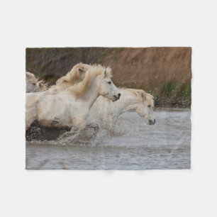 Weiße Camargue-Pferde laufen im Wasser Fleecedecke