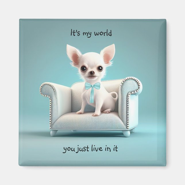 Weiße Chihuahua ist meine Welt Magnet (Vorne)