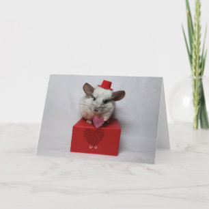 Weiße Chinchilla mit Hut und Herz Karte