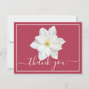 Weiße Clematis-Blüte auf karmesinrotem Hintergrund Postkarte