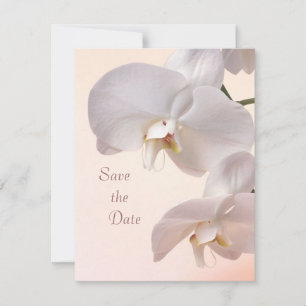 Weiße Creme-Orchideen Save the Date