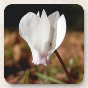 Weiße Cyclamen-harte Plastik-Untersetzer Untersetzer