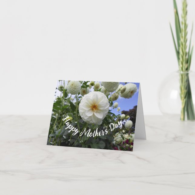 Weiße Dahlia Muttertag Karte (Vorderseite)