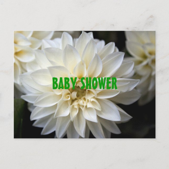 Weiße Dahlien Blume Babydusche Einladung (Vorderseite)