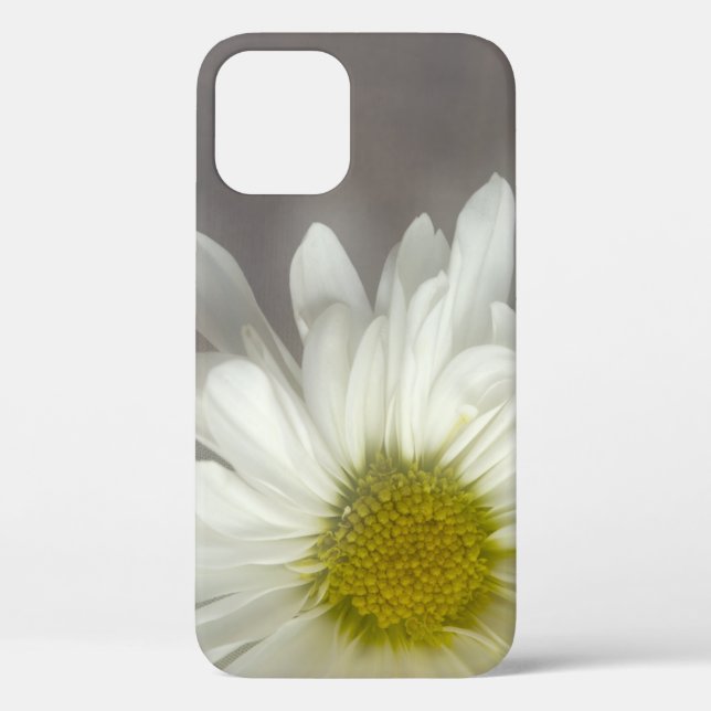 Weiße Daisy auf Grau Case-Mate iPhone Hülle (Rückseite)