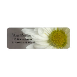Weiße Daisy auf grauer Rücksendeadresse