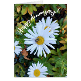 Weiße Daisy-Blume mit einer Bienenjubiläumskarte