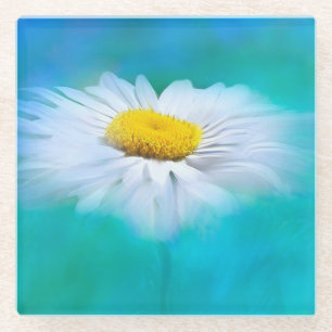 Weiße Daisy mit blauem Hintergrund Glasuntersetzer