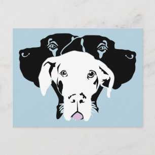 Weiße Dogge Postkarte