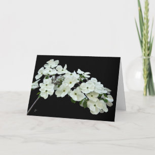 Weiße Dogwood-Blüte auf schwarzem Jeder Anlass Lee Karte