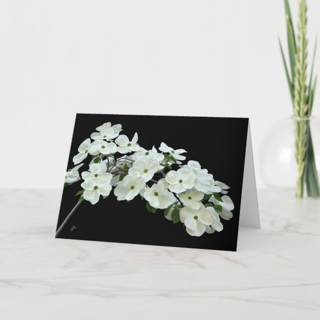 Weiße Dogwood-Blüte auf schwarzem Jeder Anlass Lee Karte (Vorderseite)