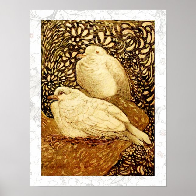 WEISSE DOVEN IN BROWN SEPIA POSTER (Vorne)