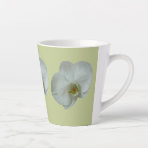 Weiße elegante Orchideenblume Botanisch Milchtasse