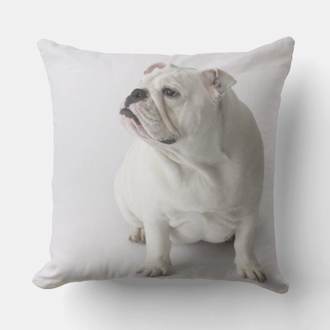 Weiße englische Bulldogge Kissen (Vorderseite)