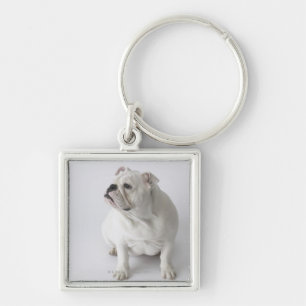 Weiße englische Bulldogge Schlüsselanhänger