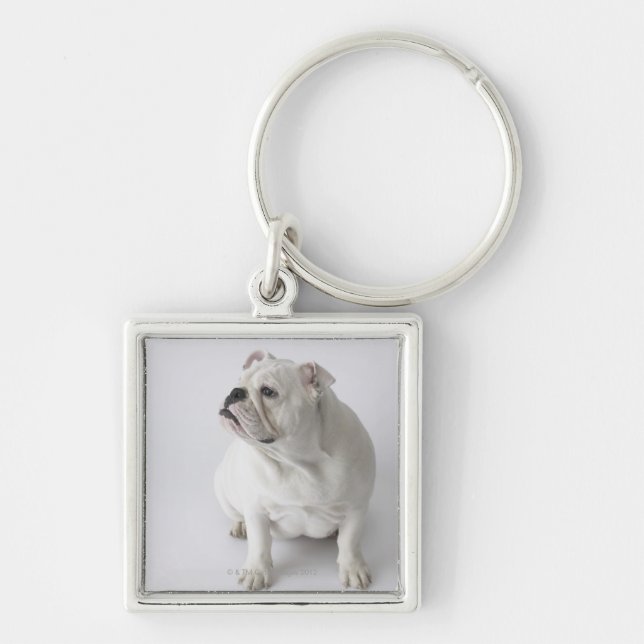 Weiße englische Bulldogge Schlüsselanhänger (Vorne)