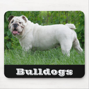 Weiße Englische Bulldogge Welpen Hund Mauspad