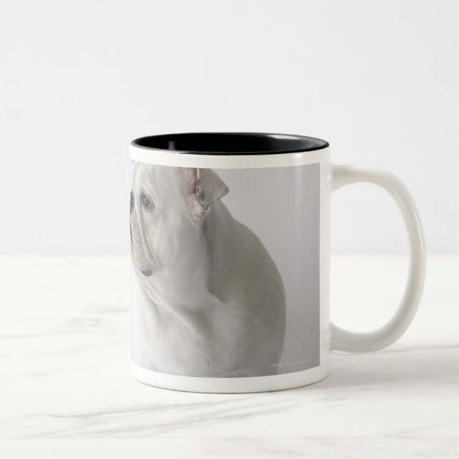 Weiße englische Bulldogge Zweifarbige Tasse (Rechts)
