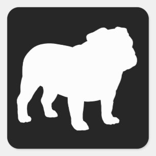 Weiße English Bulldog Silhouette Quadratischer Aufkleber