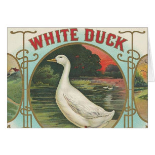 Weiße Ente