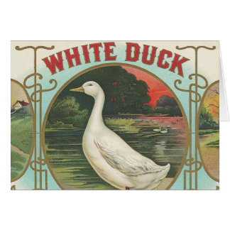 Weiße Ente